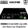 videotechnik_hdmi-lwl-extender_uh-300x-lwl2r_anschluesse