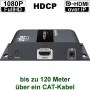 videotechnik_hdmi-over-ip_hd-383dphdmi_receiver_anschluesse