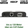 videotechnik_hdmi-over-ip_hd-383hdmidp_receiver_anschluesse