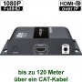 videotechnik_hdmi-over-ip_hd-383hdmidp_sender_anschluesse